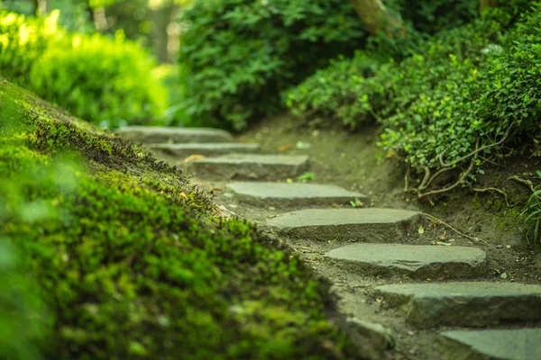 Stenen Trappen Het Park — Stockfoto