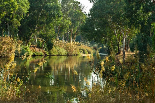 Yarkon河和公园背景 — 图库照片