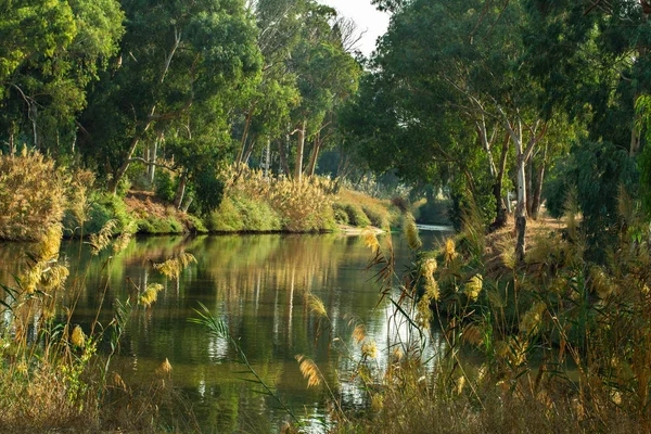 Rivière Yarkon Fond Parc — Photo