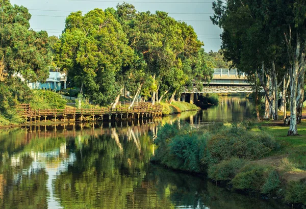 Yarkon Nehri Park Geçmişi — Stok fotoğraf