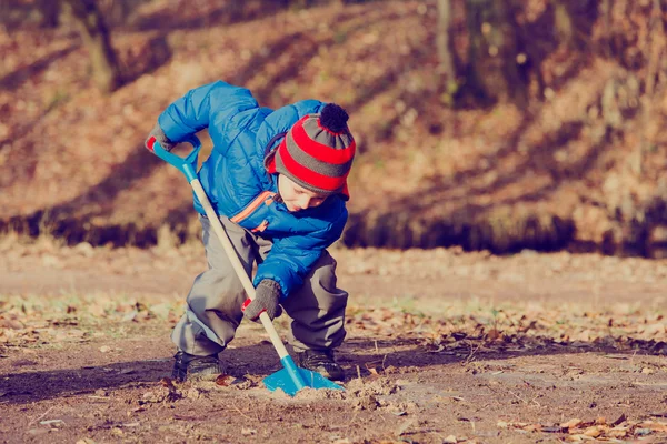 Little boy digging in fall, autumn kids activities — Stock Photo, Image