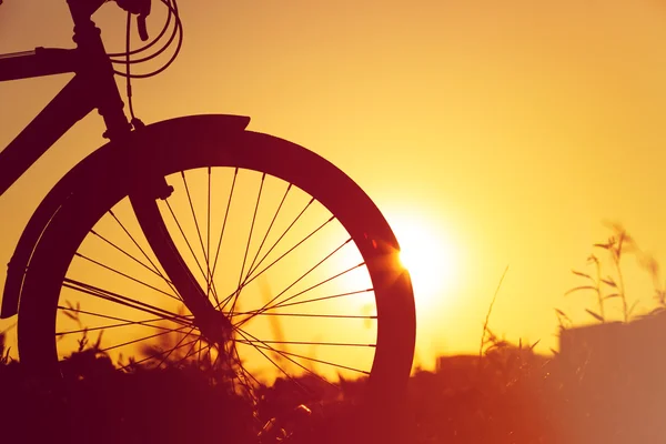 Vélo d'équitation au coucher du soleil nature — Photo