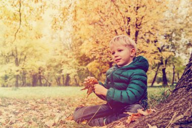 küçük çocuk sonbahar doğada yaprakları ile oynamak