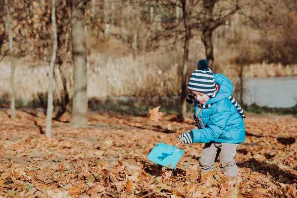 Маленький хлопчик грає з листям восени — стокове фото