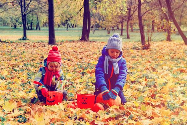 Küçük erkek ve kız doğada sonbahar yaprakları ile oynamak — Stok fotoğraf