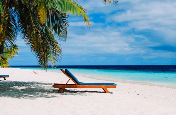 Beach chairs on tropical vacation Stock Image