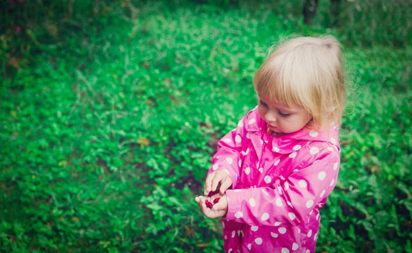 Gadis kecil memegang stroberi dipetik di kebun — Stok Foto