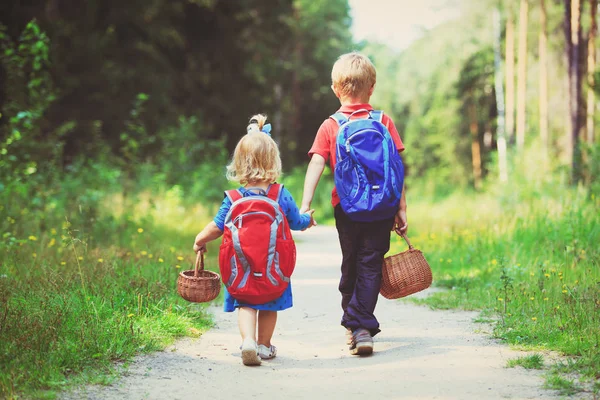 Μικρό αγόρι και κορίτσι περπάτημα στο δάσος — Φωτογραφία Αρχείου