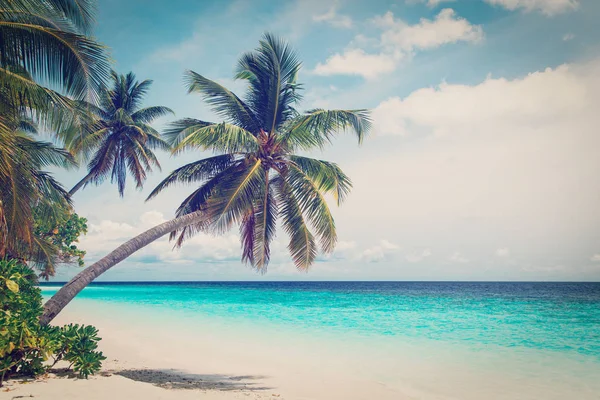 Playa de arena tropical — Foto de Stock