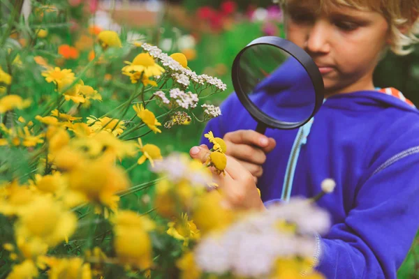 아이 학습-돋보기와 꽃을 탐험 하는 어린 소년 — 스톡 사진