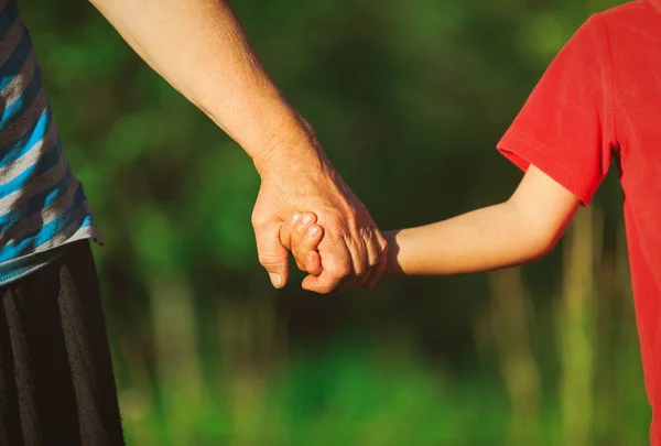 Grandmother and grandson holding hands in nature — Stock Photo, Image