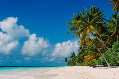tropikal kum plaj