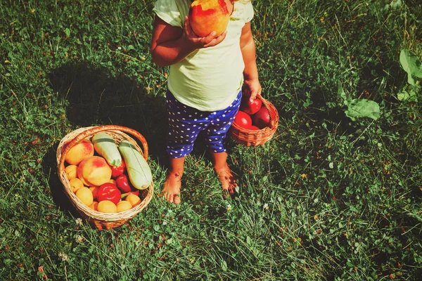 Gadis kecil dengan buah-buahan hanya dipetik di kebun — Stok Foto
