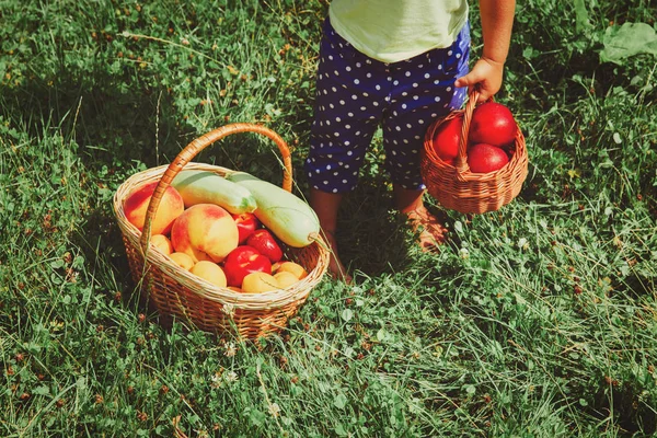 Gadis kecil dengan buah-buahan hanya dipetik di kebun — Stok Foto