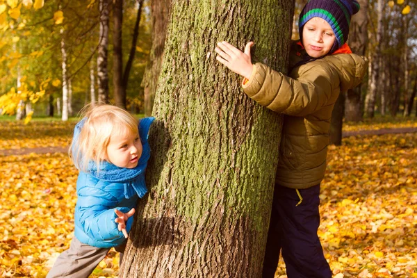 Niño y niña jugar en otoño otoño naturaleza — Foto de Stock