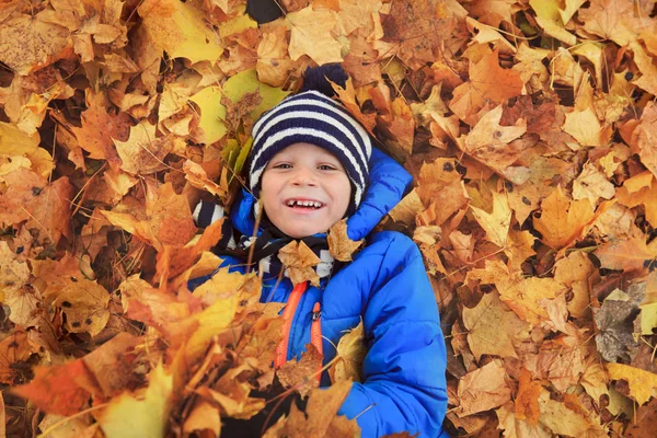 Anak kecil yang bahagia bermain di alam musim gugur — Stok Foto