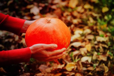 Kabak güz yaprakları üzerinde tutan el