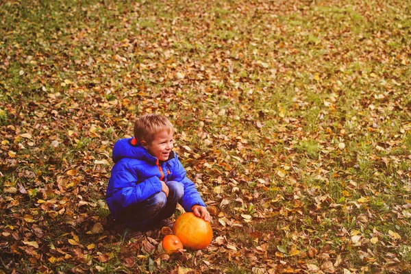 Küçük çocuk sonbahar doğada pumpin holding — Stok fotoğraf