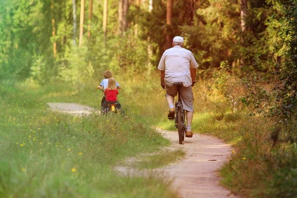Активный старшеклассник с внуками на велосипедах на природе — стоковое фото