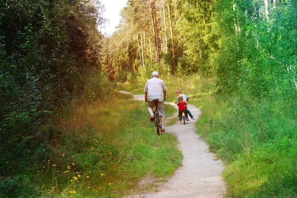 노인들 이 자전거타는 자연 속에서 활동하는 모습 — 스톡 사진