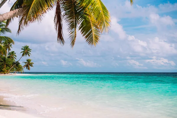 Plage de sable tropical avec palmiers — Photo