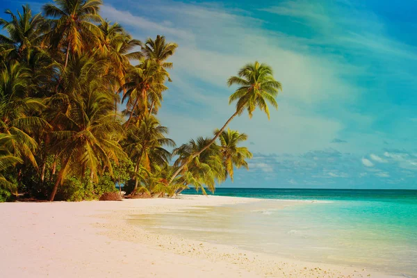 Tropical sand beach with palm trees — Stock Photo, Image