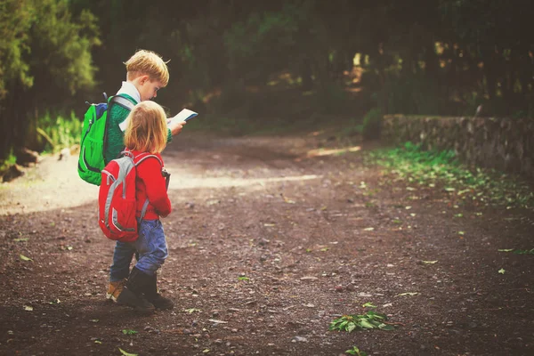 Niño y niña viajan senderismo en la naturaleza mirando el mapa — Foto de Stock
