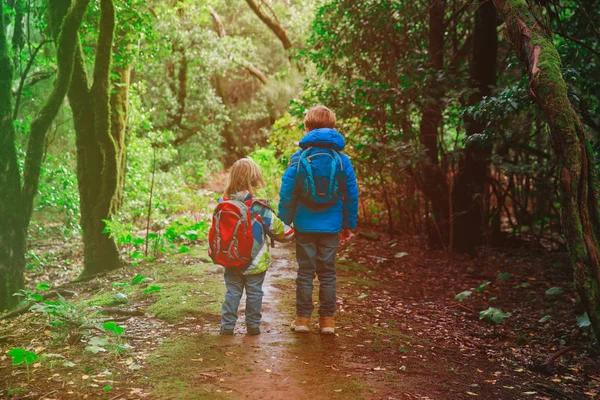Маленький хлопчик і дівчинка подорожують по природі — стокове фото
