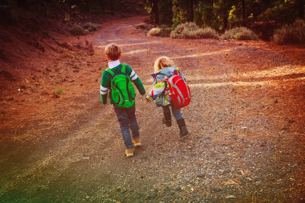 Niño y niña viajan senderismo en la naturaleza — Foto de Stock