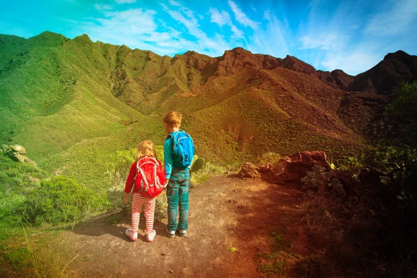 男の子と女の子の山、自然の中のハイキングの家族の旅行します。 — ストック写真