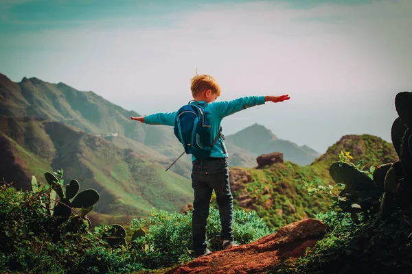 ハイキング山の旅の小さな男の子 — ストック写真