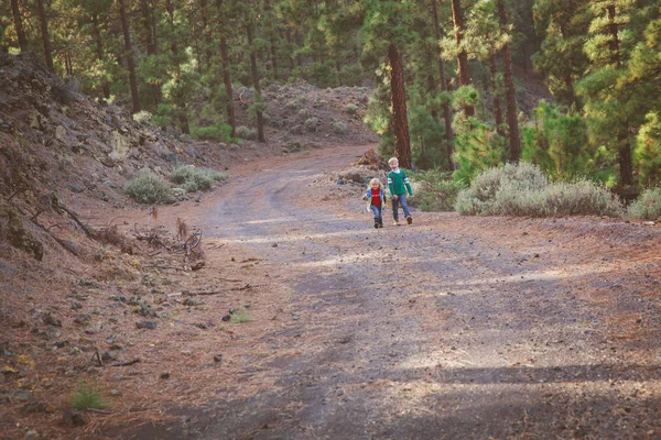 Liten pojke och flicka resa vandring i naturen — Stockfoto