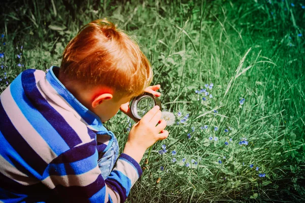 Barn lärande - liten pojke att utforska blommor med förstoringsglas — Stockfoto