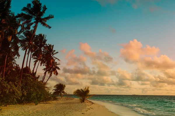 Tropical sand beach with palm trees at sunset — Stock Photo, Image