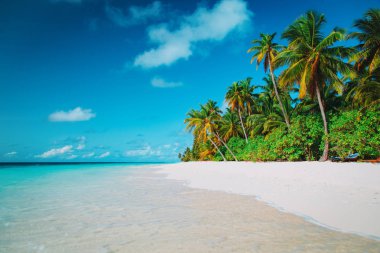 palmiye ağaçları ile tropikal kum plaj