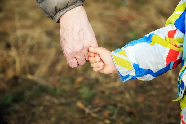 Grandmother holding grandchild hand in nature — Stock Photo, Image