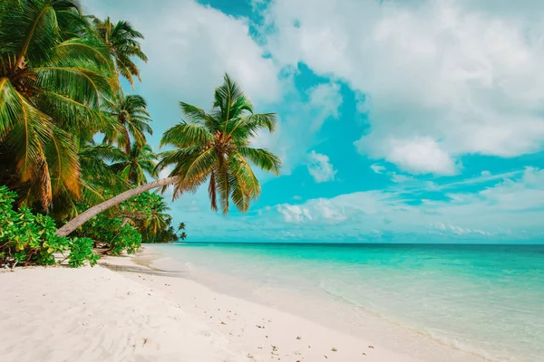 Plage de sable tropical avec palmiers — Photo