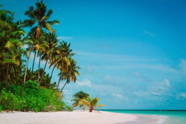 palmiye ağaçları ile tropikal kum plaj