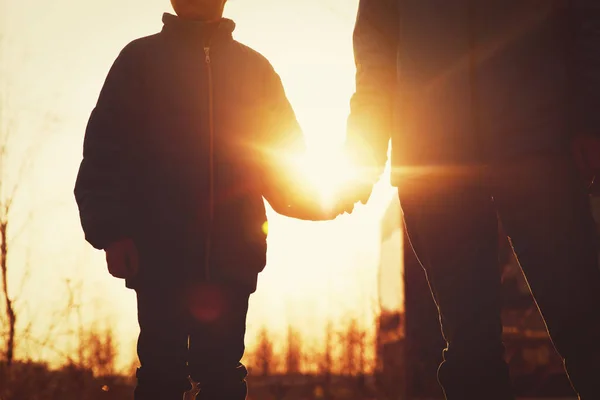 Father and son holding hands in sunset nature — Stock Photo, Image