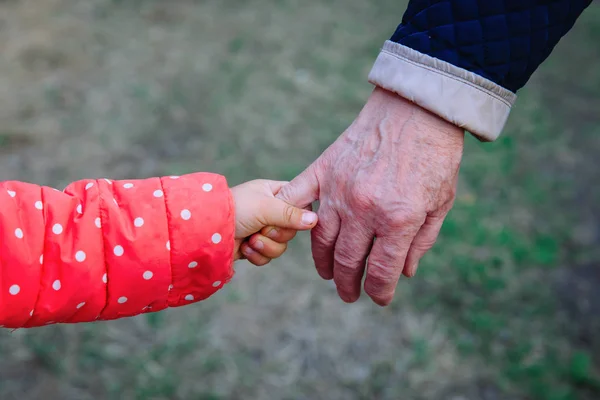 Grandmother holding grandchild hand in nature — Stock Photo, Image