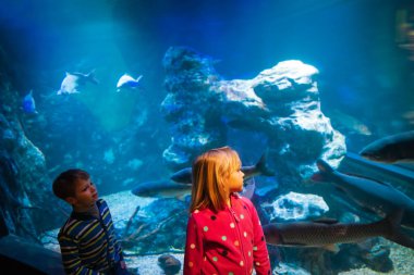 çocuk-çocuk ve kız-izlerken akvaryumdaki balıklar