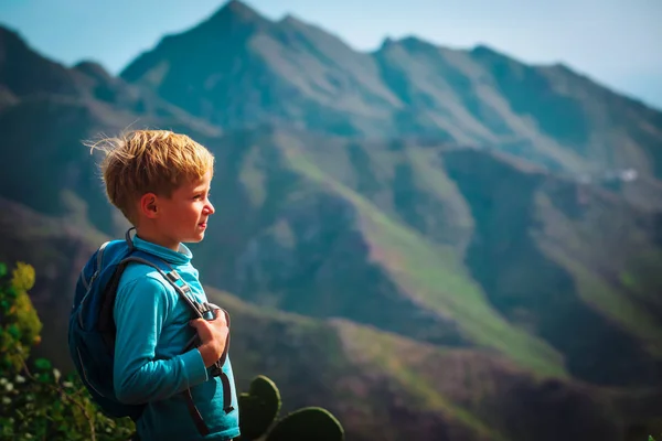 Liten pojke med ryggsäck vandring i bergen — Stockfoto