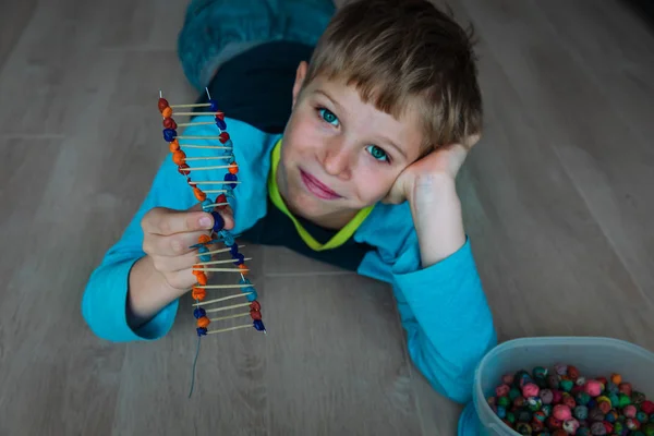 Çubuk ve kil, mühendislik ve BTMM 'den DNA modeli yapan çocuk — Stok fotoğraf