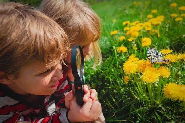 Crianças - menino e menina - olhando para butterfy, crianças aprendendo a natureza — Fotografia de Stock