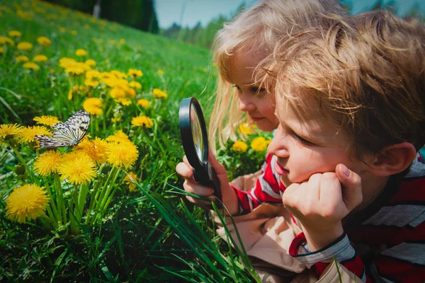 Anak laki-laki dan perempuan melihat kupu-kupu, anak-anak belajar alam — Stok Foto