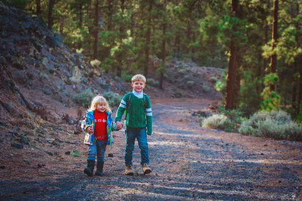 Petit garçon et fille randonnée dans la nature, voyage en famille — Photo