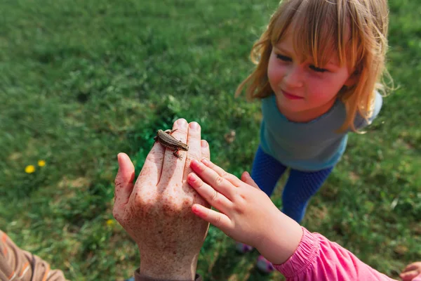 Niños aprendiendo - niños mirando y explorando lagartos en la naturaleza — Foto de Stock