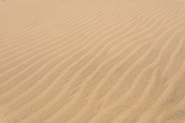 Sand dunes, natural background, yellow desert texture Royalty Free Stock Photos