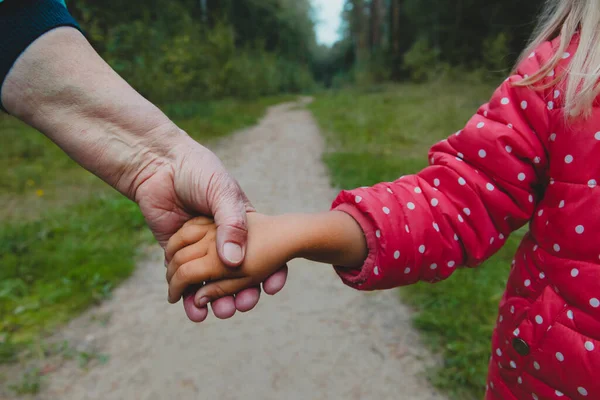 Avó segurando neto mão na natureza, parentalidade — Fotografia de Stock