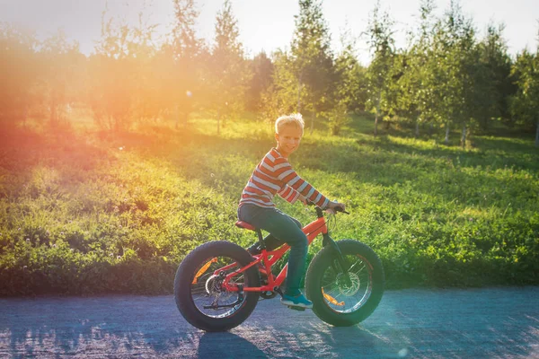 Felice ragazzo godere di andare in bicicletta in natura tramonto — Foto Stock